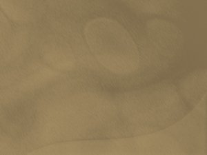 系统入门指南：从零开始学系统